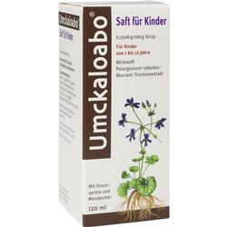 Eine Packung Saft für Kinder mit einer Pflanze darauf.
